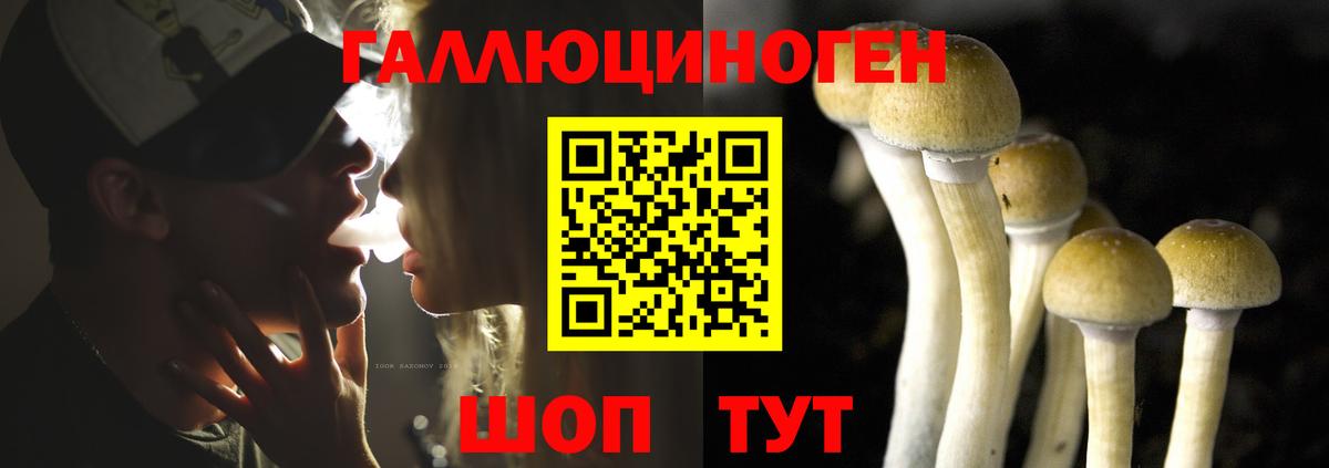 купить   Вход с VPN  Людиново  Галлюциногенные грибы мицелий  Псилоцибиновые грибы Psilocybine cubensis 